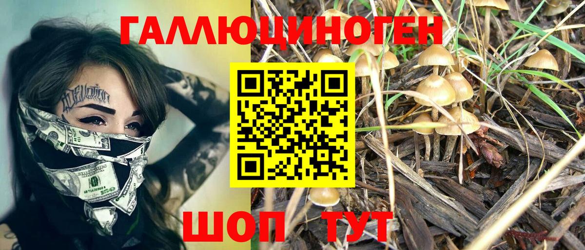 Галлюциногенные грибы мухоморы  наркота  Гурьевск 