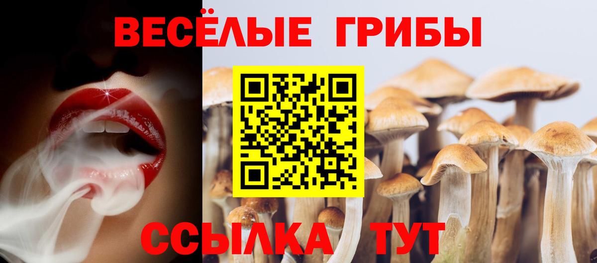 Cocaine  Вход с VPN  НБОМе  ГАШ  Каннабис  МЕФ кристаллы  Гурьевск  Alpha-PVP СОЛЬ кристаллы 